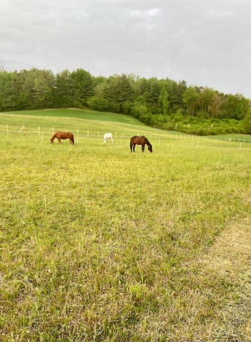 Appartamento In Cascina -La Cascinetta Di Ali- Roatto Extérieur photo